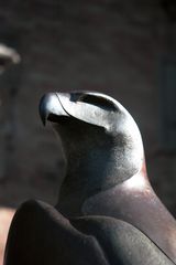 retrato de regia águila