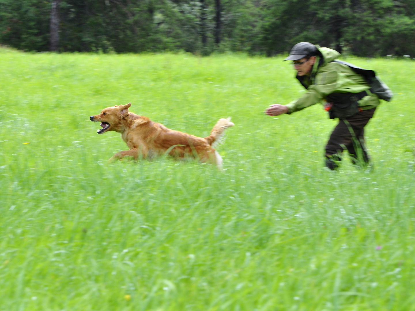 Retriever at its best