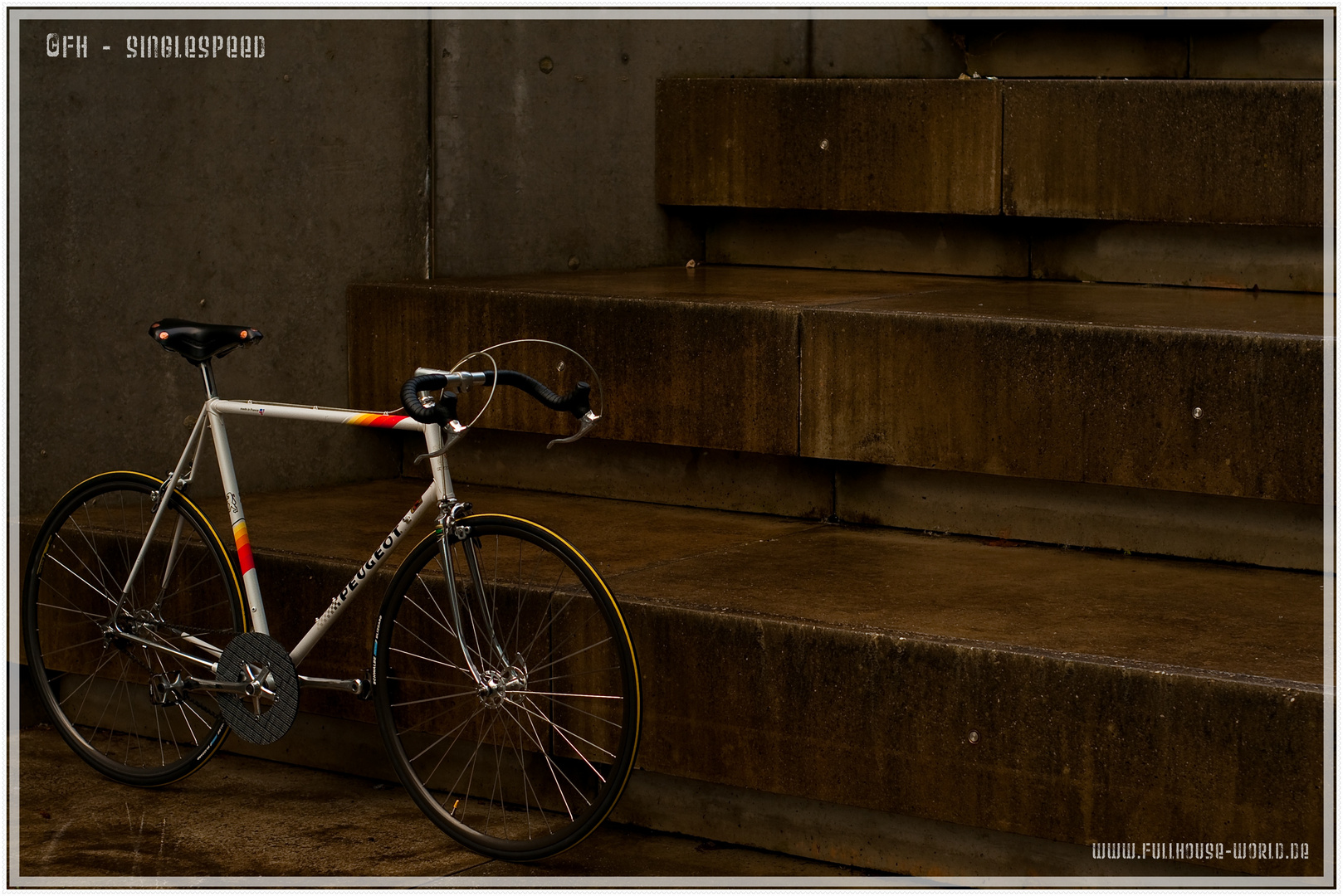 Retro Singlespeed Bike