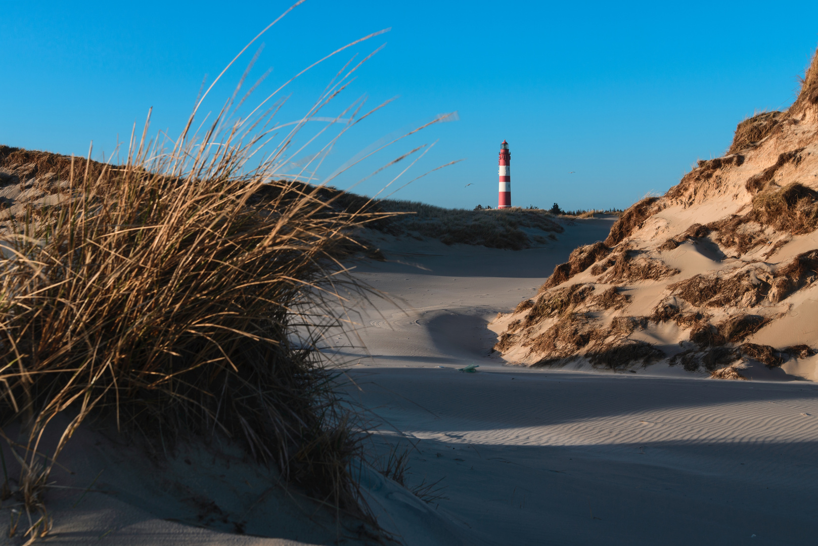 [ Retrospektive 07-17: Amrum ]