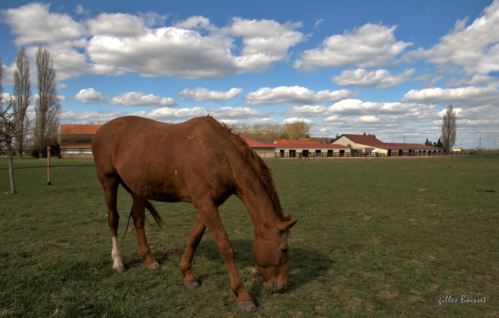 Retrouver l'herbe fraiche