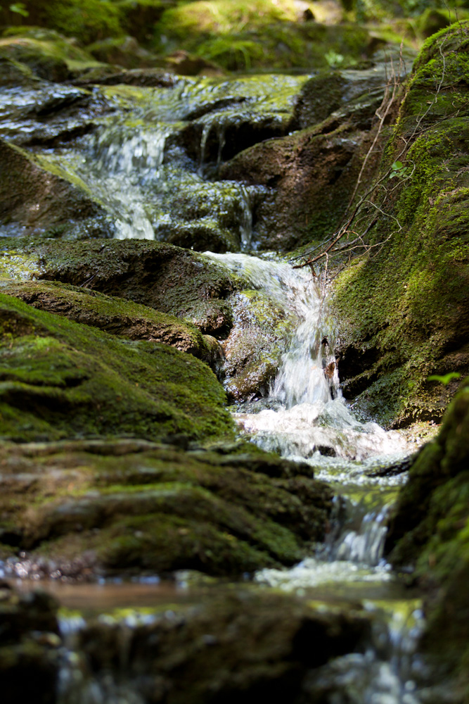 Rettenbachklamm im Sommer