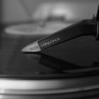 Rettet das Vinyl