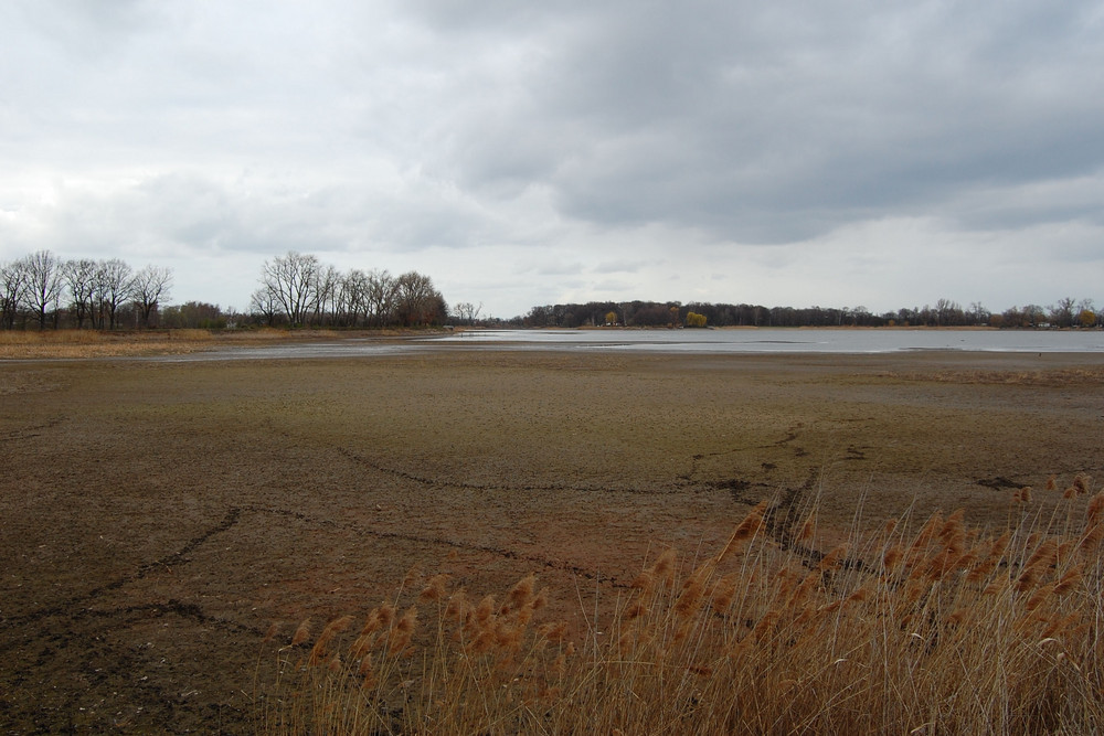 Rettet den Elsterstausee - Blick in die Zukunft !?