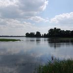 Rettet den Elsterstausee - Impressionen #1