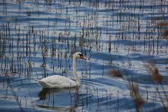 Rettet den Elsterstausee - Impressionen #3