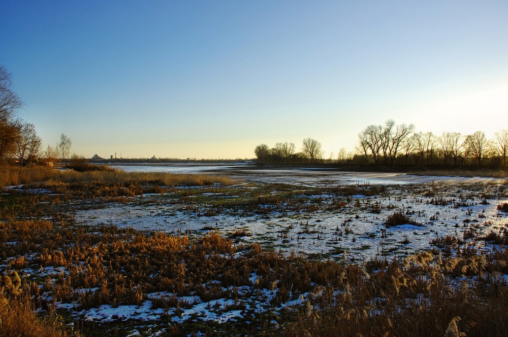 Rettet den Elsterstausee - Januar 2009