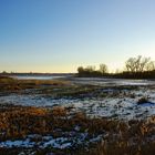 Rettet den Elsterstausee - Januar 2009