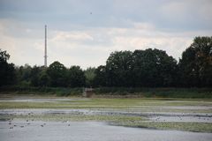 Rettet den Elsterstausee - Pegelstand