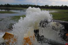 Rettet den Elsterstausee -Vorläufige Rettung #1