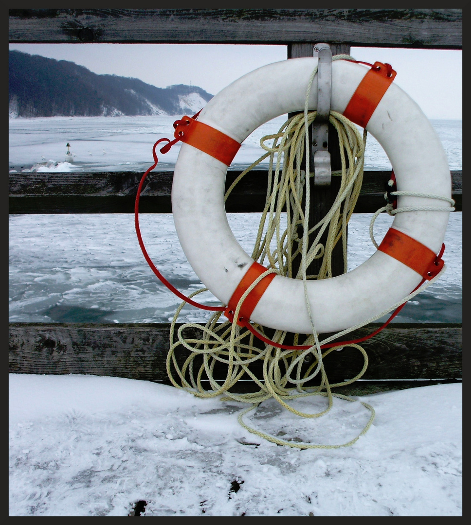 Rettung im Eismeer