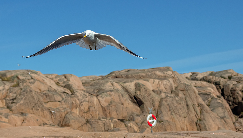 Rettungsflieger