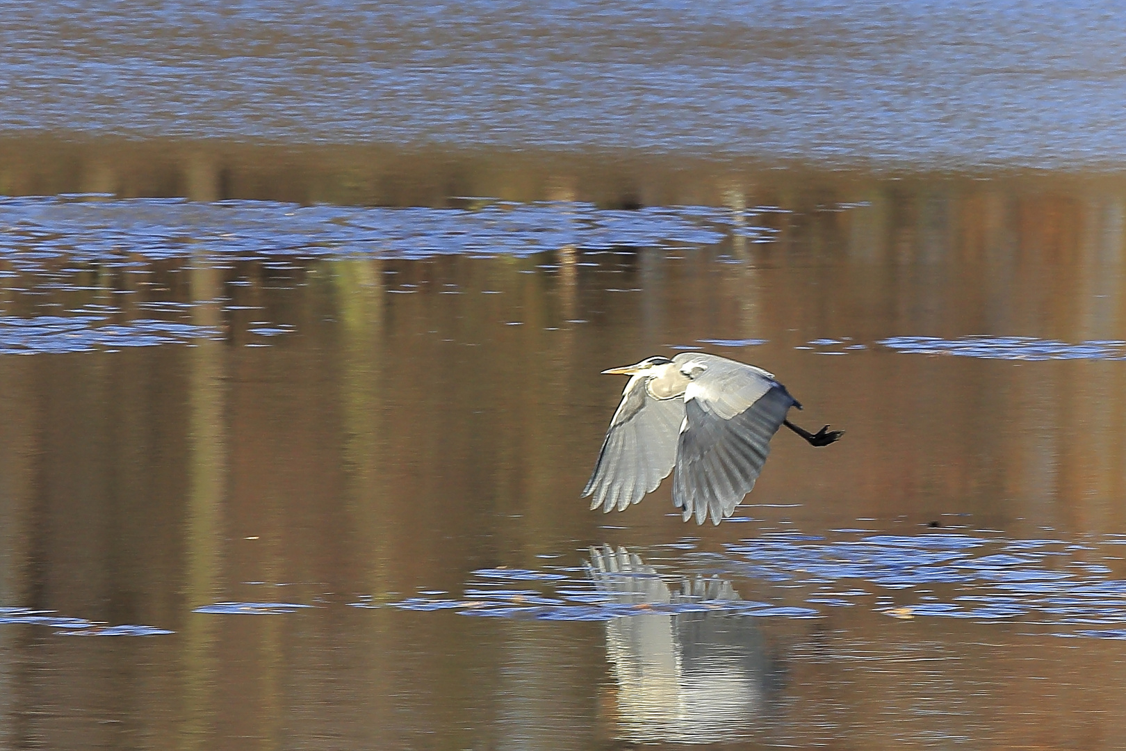 Rettungsflug