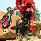 Rettungshund nach Trümmersüche