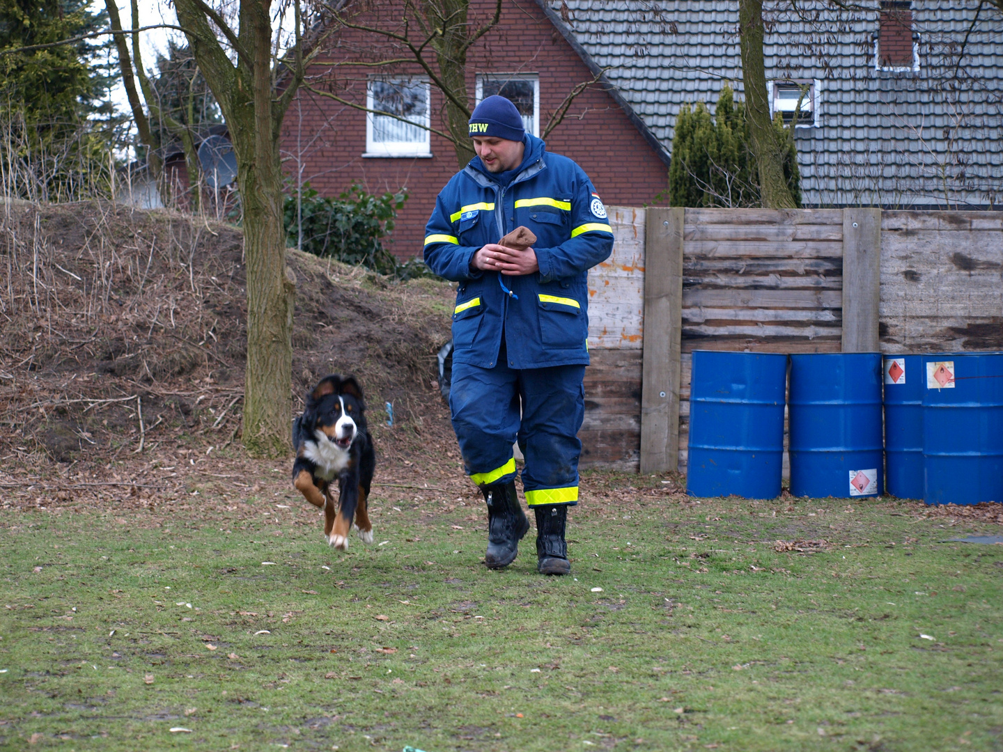 Rettungshunde ausbildung