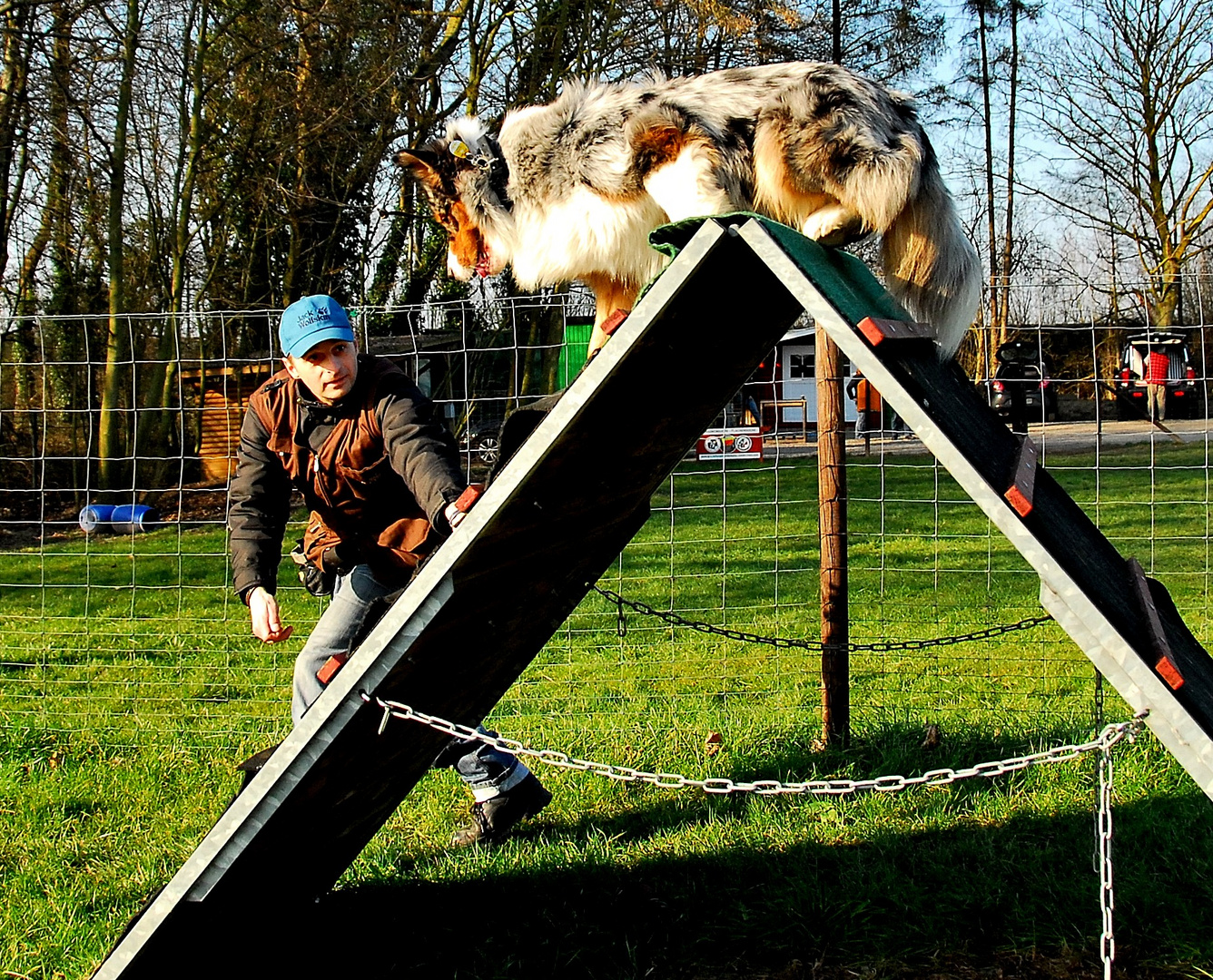 Rettungshundesport