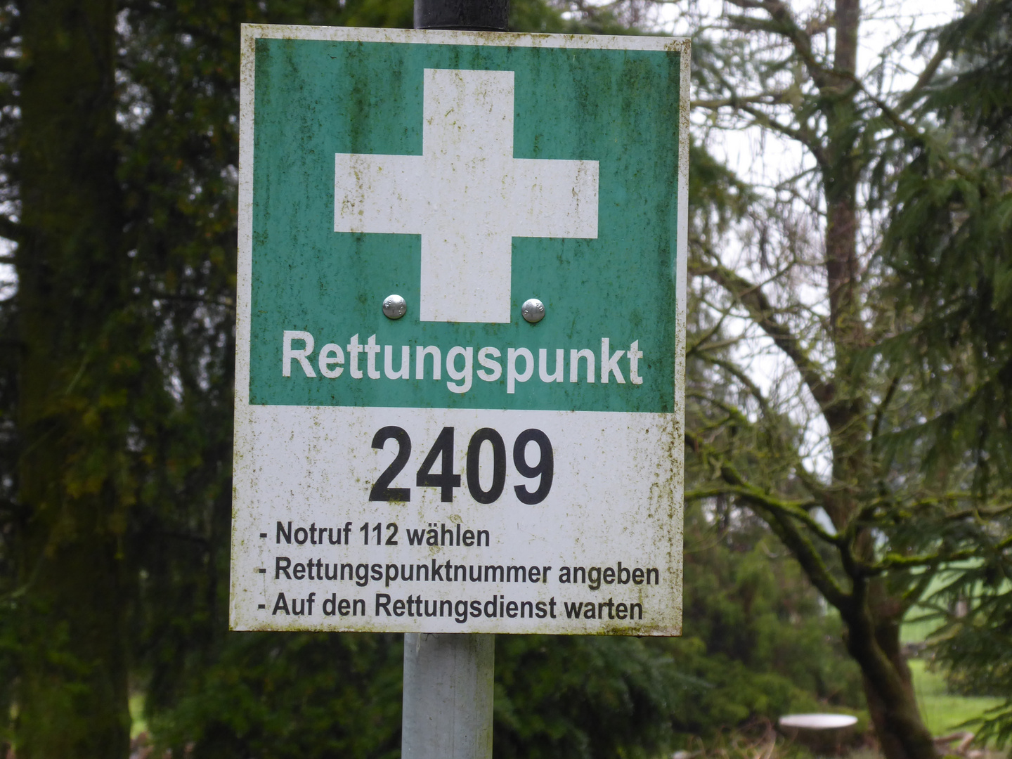 Rettungspunkt