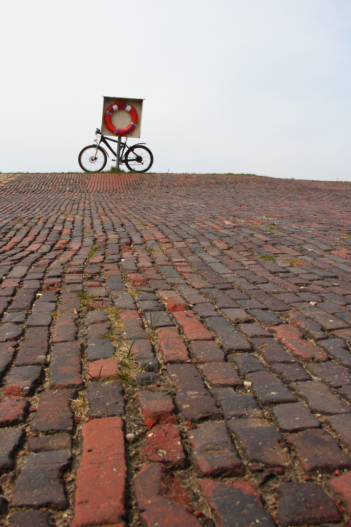 Rettungsring 2 (Das Fahrrad am Rand der Welt 2)