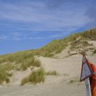 Rettungsring vor Düne