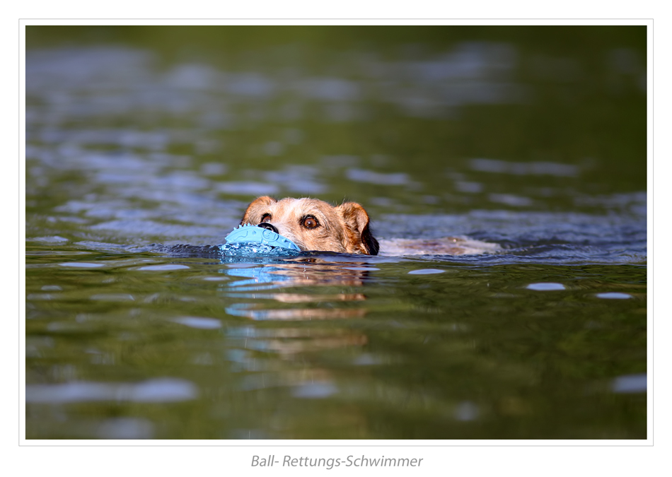 Rettungsschwimmer