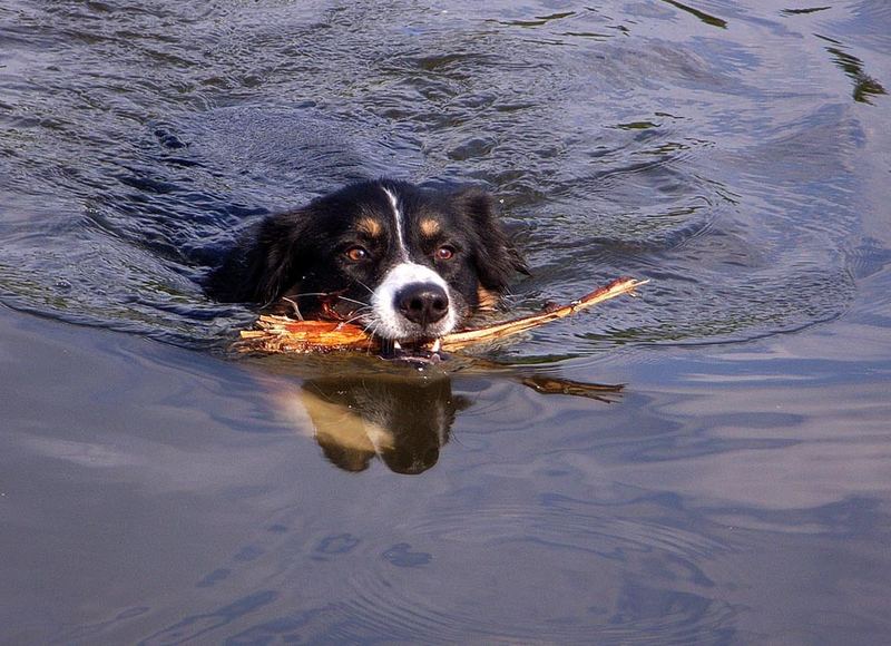 Rettungsschwimmer...!!