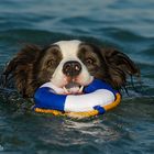 Rettungsschwimmer  im Dienst ;-)