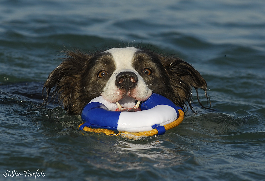 Rettungsschwimmer  im Dienst ;-)