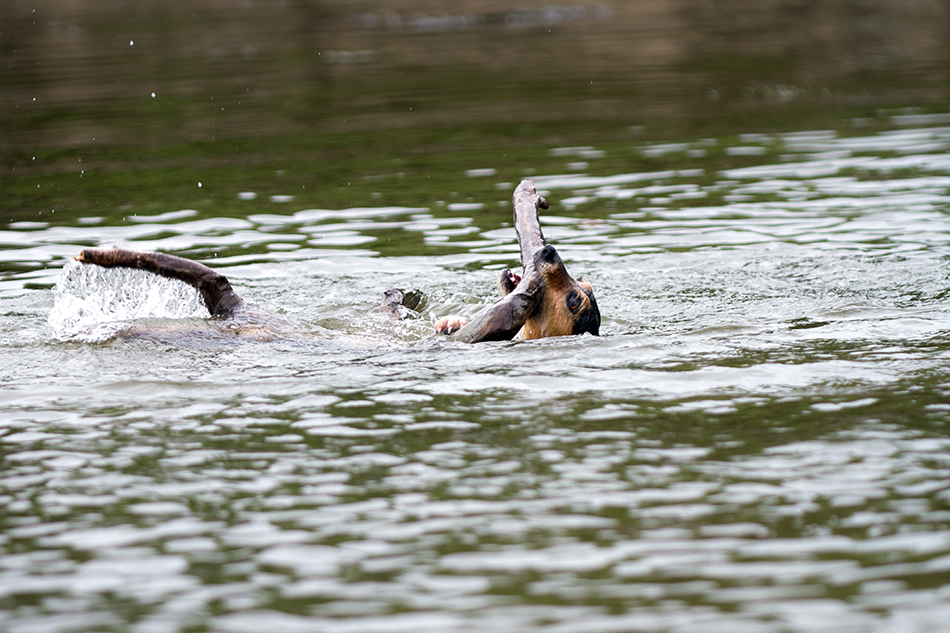 Rettungsschwimmerin