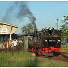 Rettungszug für den Wilden Robert