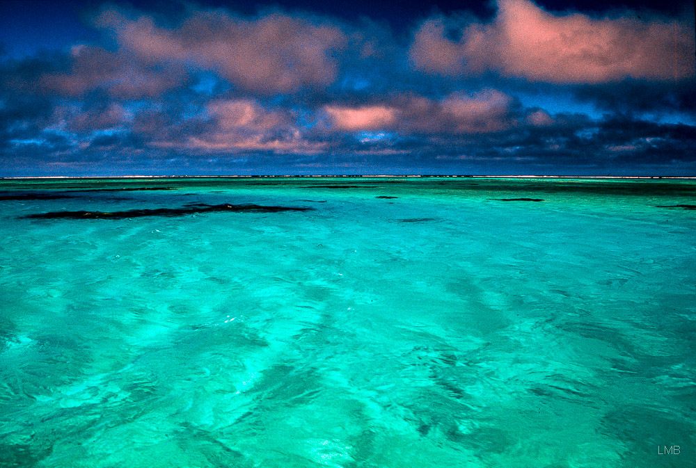 Return to the Blue Lagoon