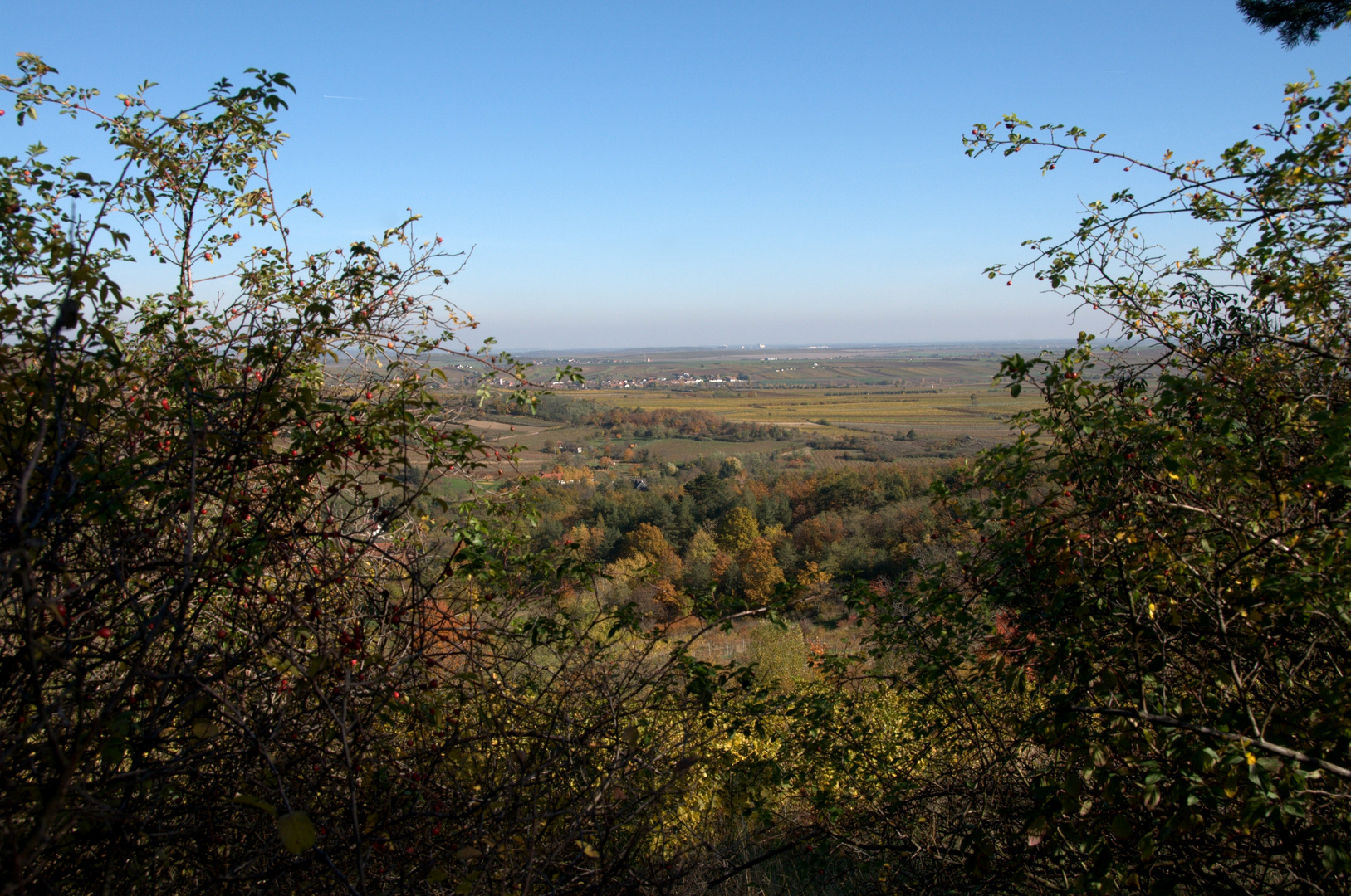 Retz im Herbst