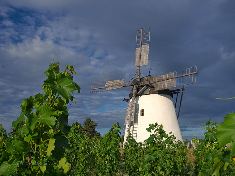 Retz Windmühle 2015 001