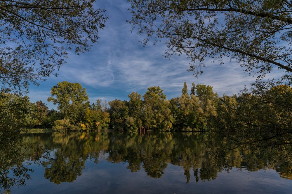 Retzbacher Mainufer