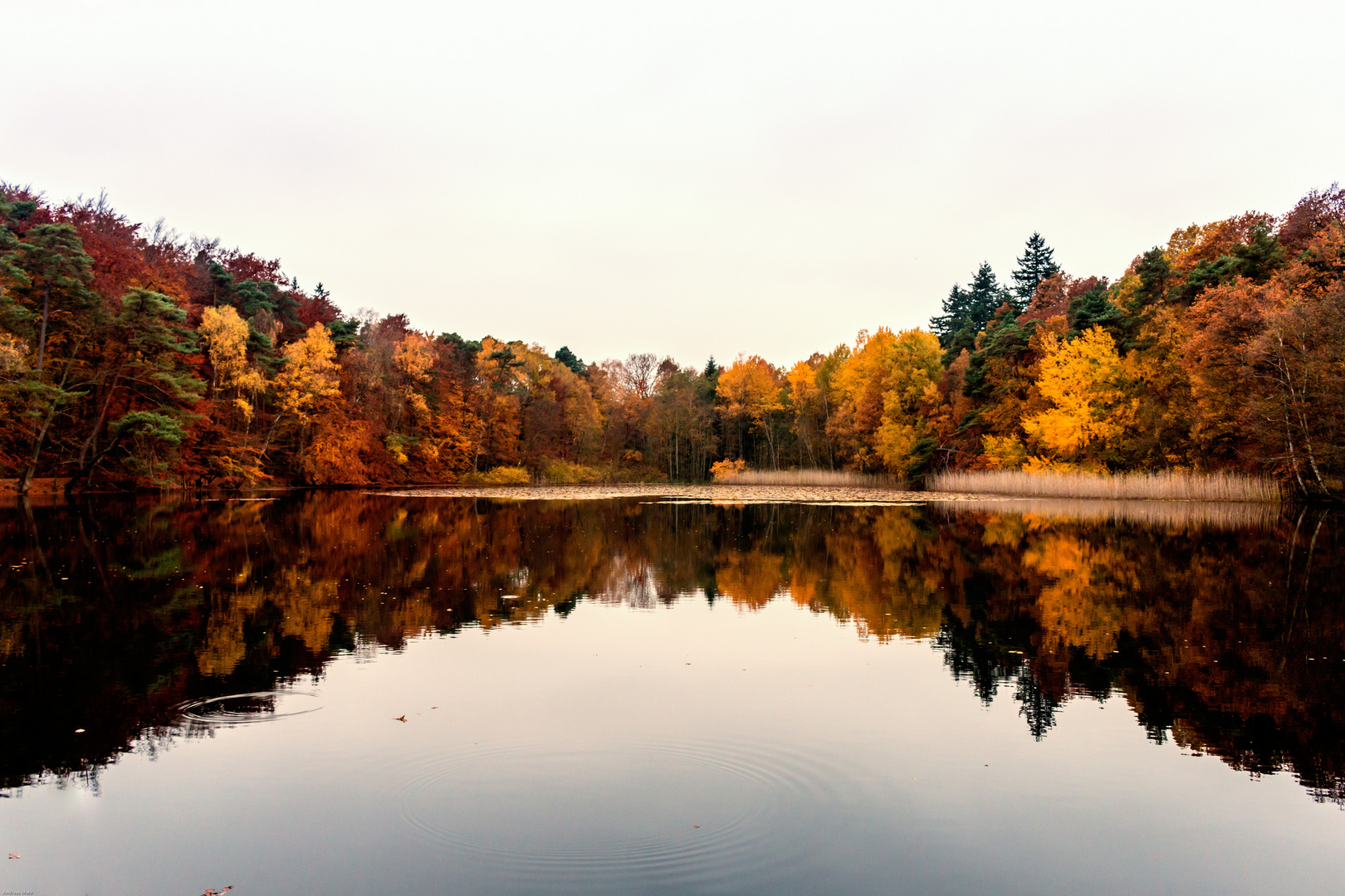 Retzbergweiher im Herbst