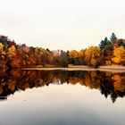 Retzbergweiher im Herbst