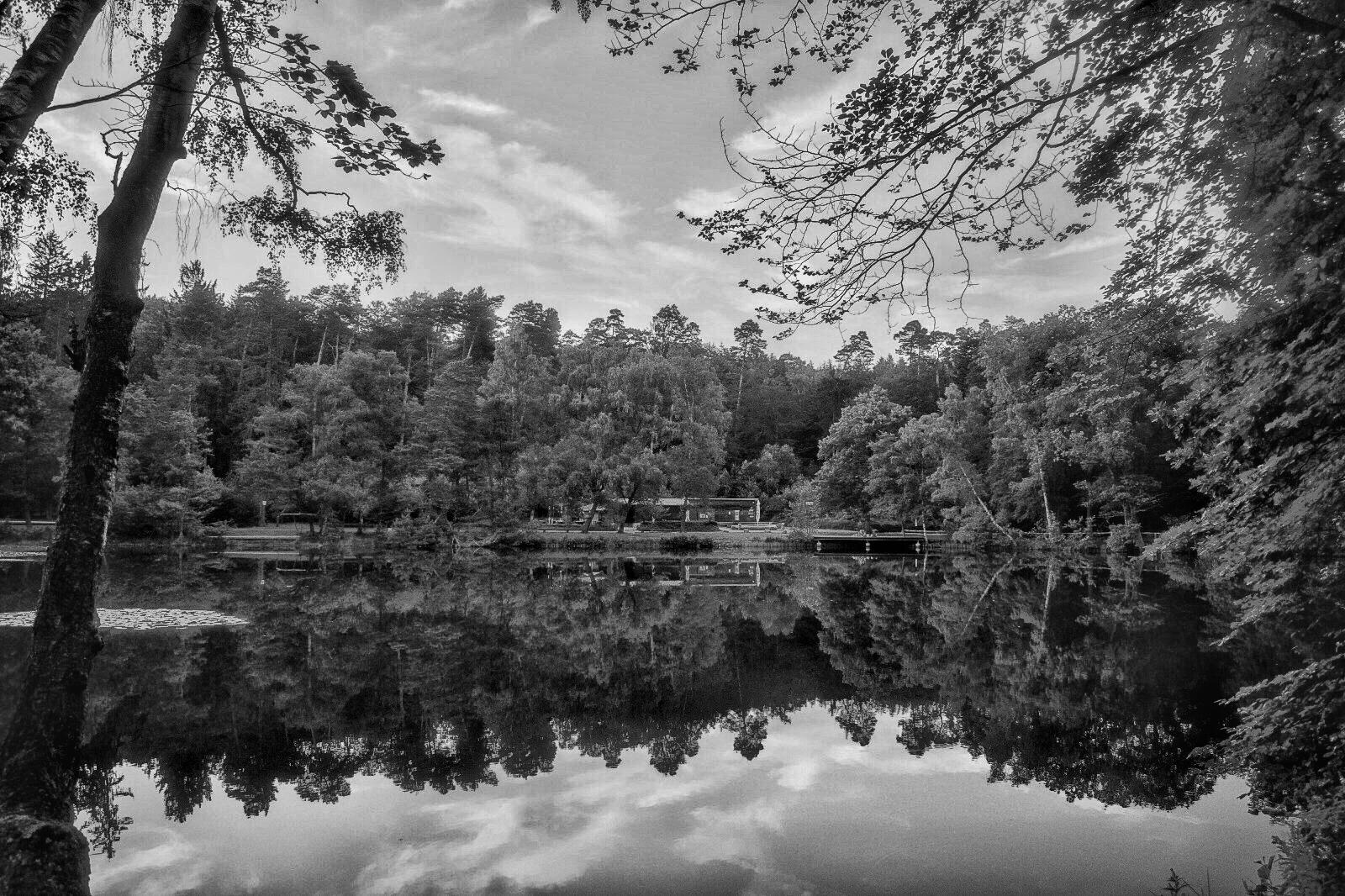 Retzbergweiher [Sippersfeld, Rheinland-Pfalz]