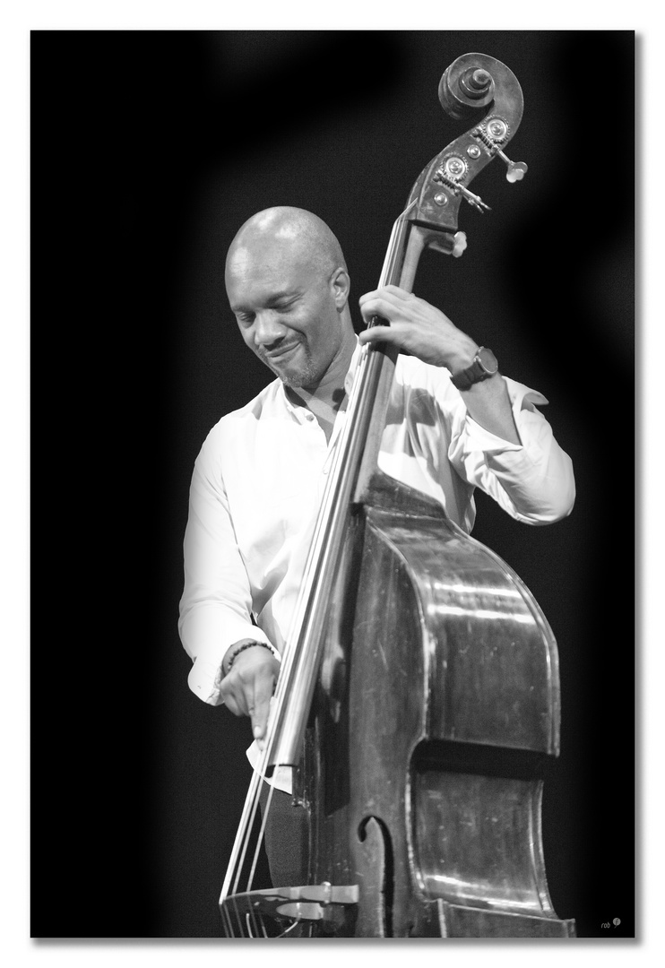 Reuben Rogers; bass - Charles Lloyd Quartet