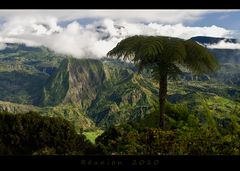 Réunion 10