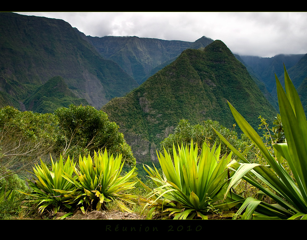 Réunion 13