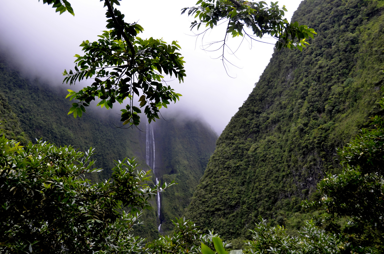 Réunion  mit Aida Blu 