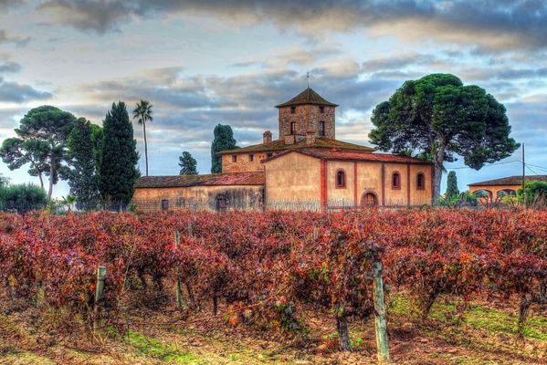 Reus - bodegues Muller - Baix Camp