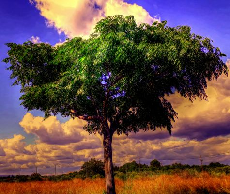 Reus - Crta. Tarragona - Baix Camp