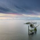 Reusen in der Nordsee