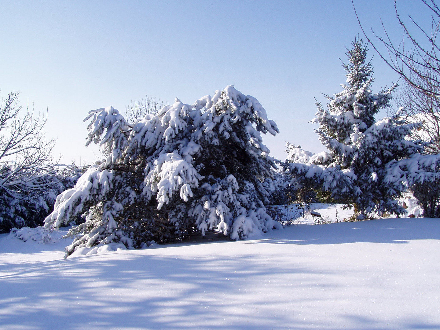 Réveil blanc ce matin