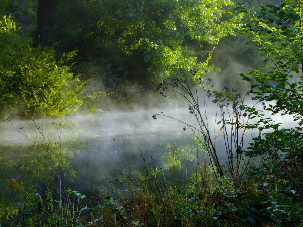 reveil de brume