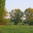 Réveil de la nature en Lorraine - 1