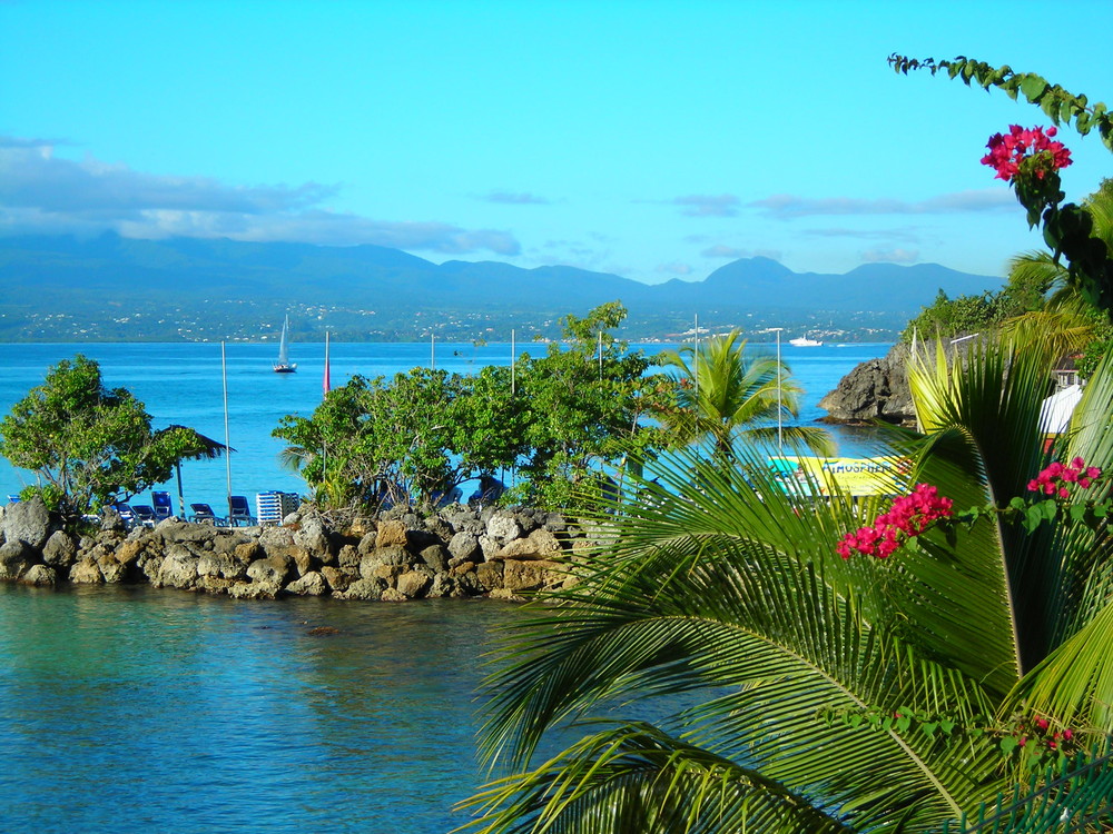 reveil en guadeloupe