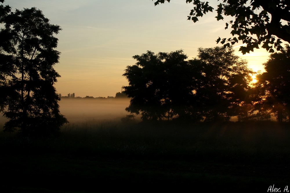 Réveil matinal !