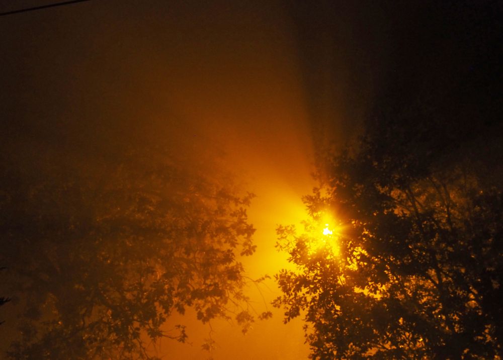 Réverbère  de nuit dans la brume automnale