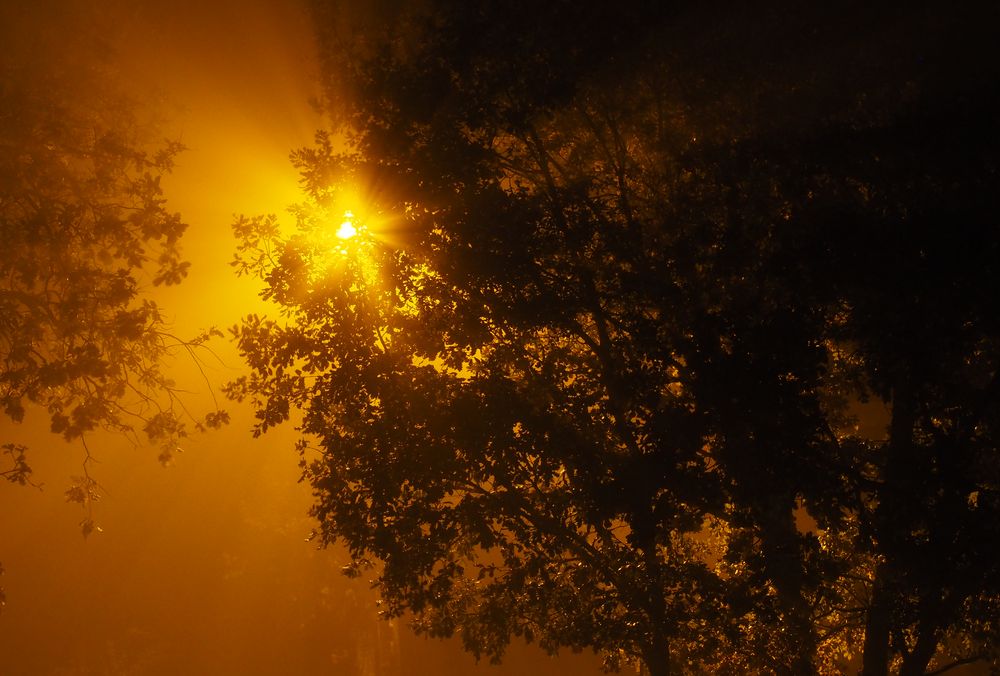 Reverbère nocturne dans la brume